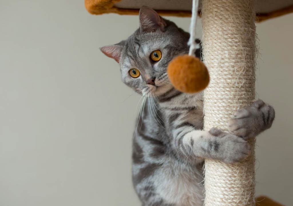 blog-12