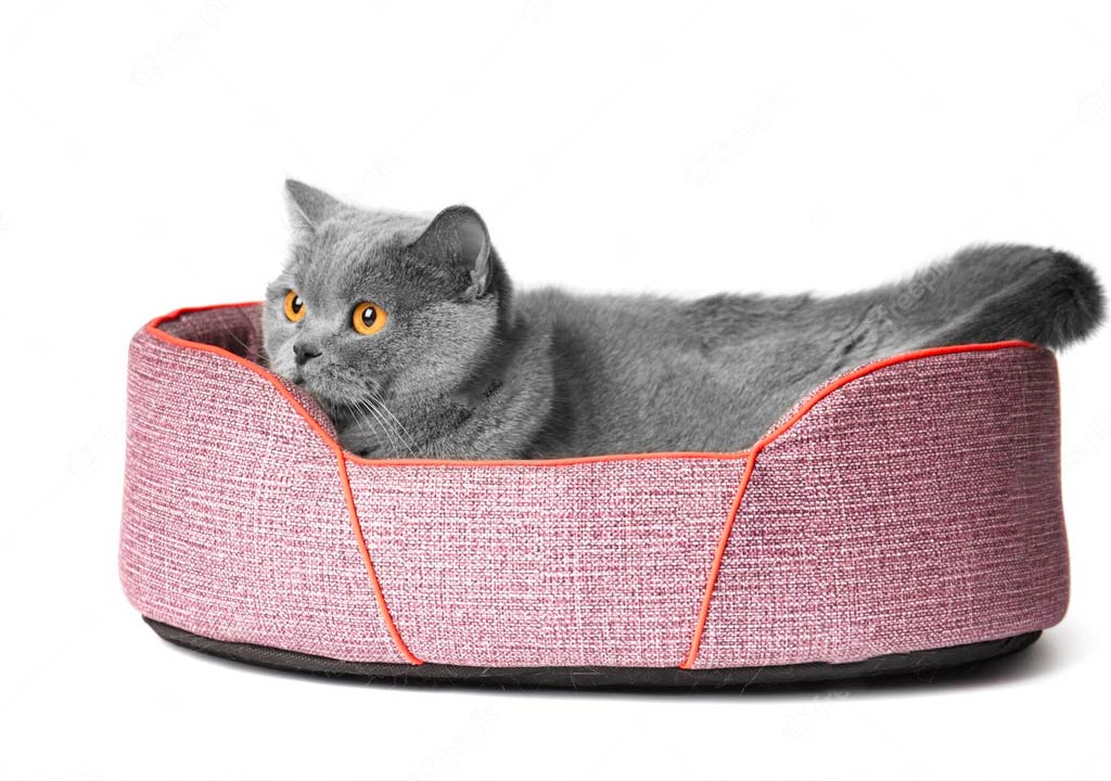 The Best Cat Beds for Your Furry Friend